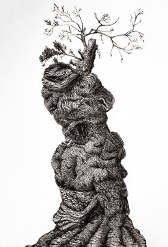 Ink illustration of a tree, pen drawing 