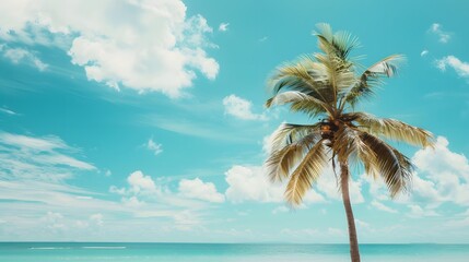Single Palm Tree against Blue Sky and Ocean