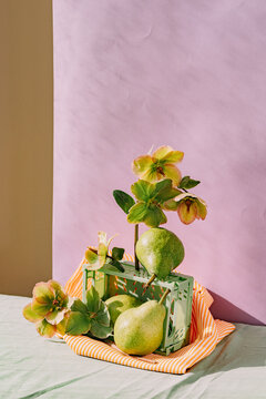 Art still life with hellebore flowers and pears.

