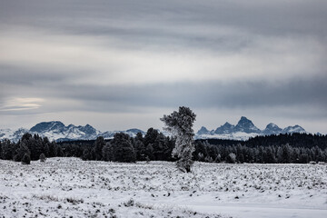 Snow-covered Grand Teton mountains in winter