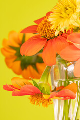 Beautiful, bright flowers in a clear vase.