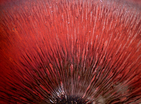 Textured background of microscopic glaze of Chinese ceramics tea cup