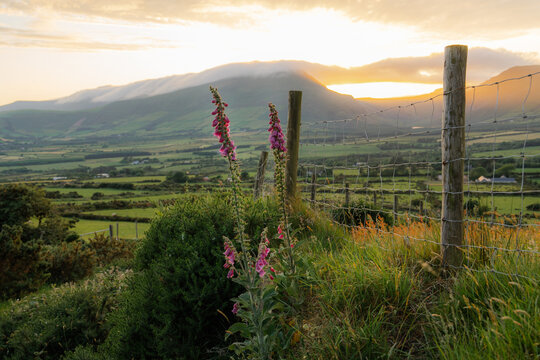 Scenic view of rural landscape at sunset in Ireland