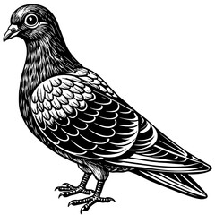 a-highly-detailed-pigeon