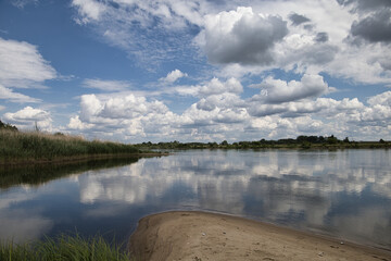Die Oder - Oderbruch - Fluss in Brandenburg - Deutschland - Polen - Grenze 