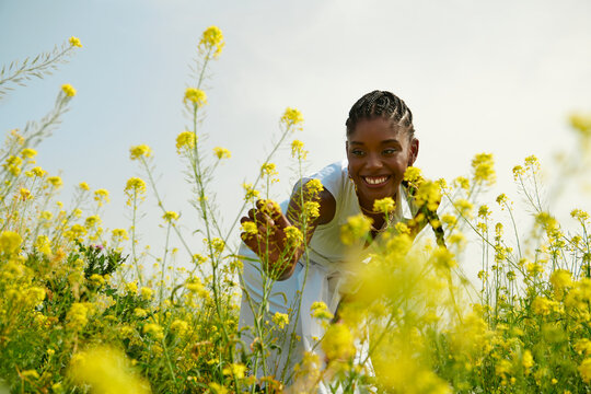 Flower Field 