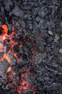 Ashes