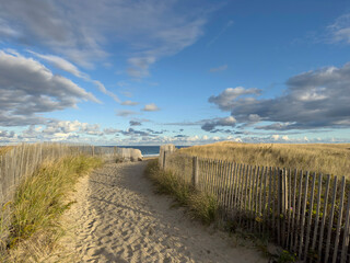 Massachusetts Beach fall landscape with path to beach