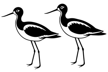 sandpiper bird vector silhouette illustration