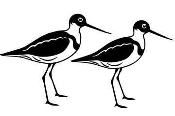 sandpiper bird vector silhouette illustration