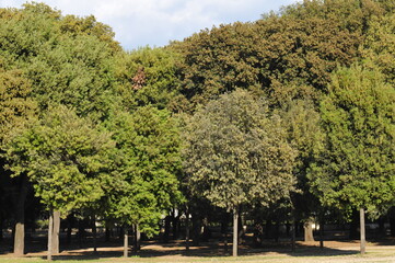 scorci di Villa Borghese