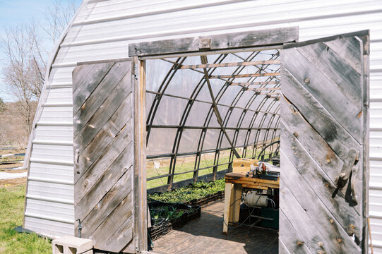 farm greenhouse filled with seedlings in spring season