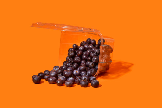 blueberries in a plastic container