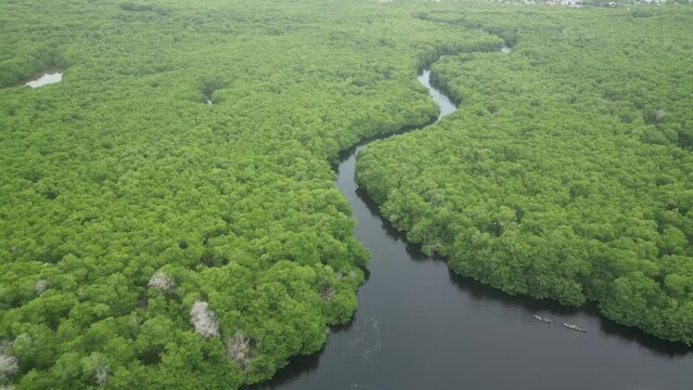 Cienada de la Caimanera Colombia Manglar caribe