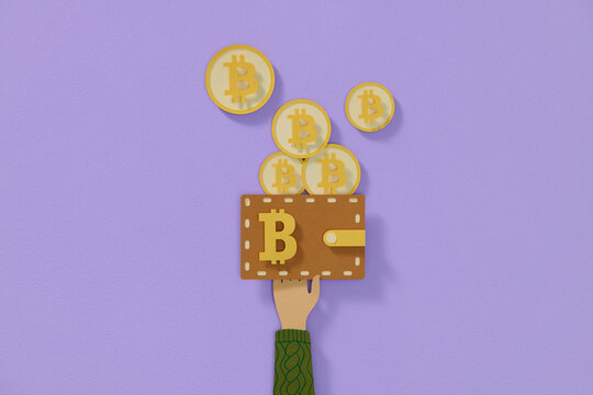 Crypto Bitcoin wallet. personal cryptocurrency storage wallet