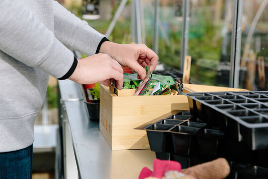 Woman selecting seed packets from a box in a greenhouse