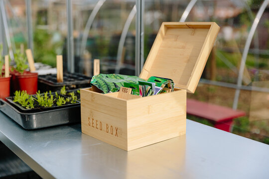 Seed box filled with seed packets in a greenhouse