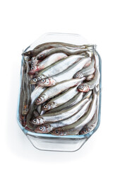 Fresh raw european smelt in a glass bowl isolated on white
