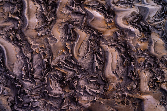Cracks in Mud in New Mexico, United States