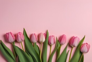 Fototapeta premium AI illustration of a beautiful arrangement of pink tulips lined up against a pink background