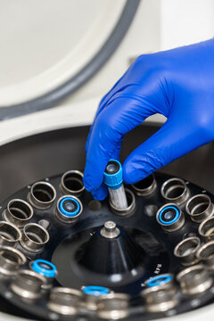 Scientist loading vials into centrifuge machine