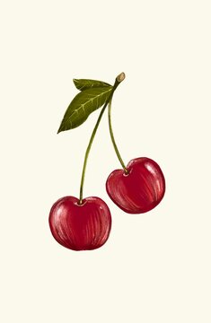 Cherry