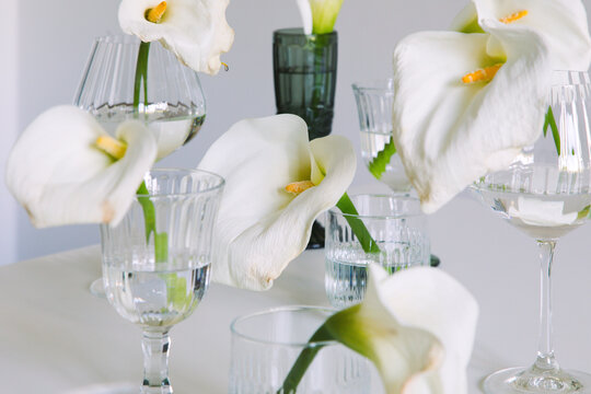 Composition with calla lilies in glasses on the white table