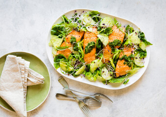 Salmon fish salad with pesto sauce