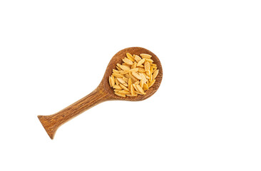 Risoni, uncooked pasta - Organic dried orzo on the spoon