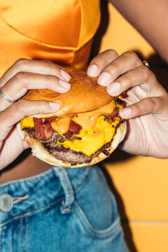 Cheese burger Flash Food