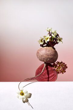 Still life of red beets and flowers on a gradient background
