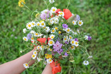 Top view on female Hands hold mixed colorful wildflower bouquet on beautiful green background....