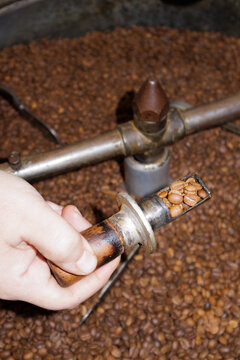 coffee beans in a roasting machine