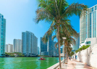 Palms and skyscrapers in Miami River Walk