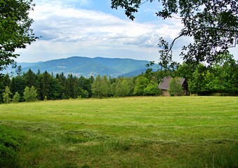 green meadow with a small wooden house, spring, Beskidy, Poland 