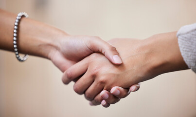 Handshake, deal and people at office with partnership in closeup by contract for business meeting....