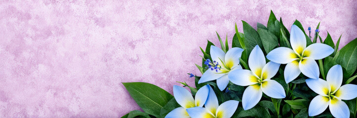 Obraz premium A flower of blue flame. A banner with a place for the text.
