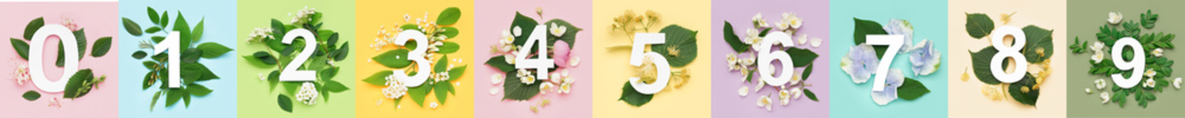 Numbers with green leaves and spring flowers on color background