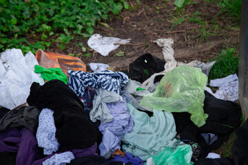 environmental pollution