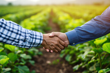 Two businessmen shake hands against the backdrop of agricultural plantations. Successful deal for farmers. Agriculture business concept