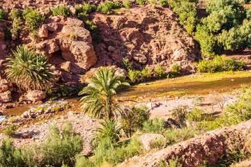 View of green oasis with palm trees and river in Dades valley between Telouet and Anmiter towns in...