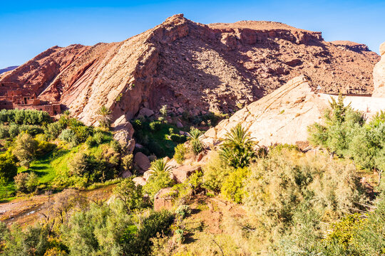 View of green oasis with palm trees and river in Dades valley between Telouet and Anmiter towns in Atlas Mountains, Morocco, North Africa