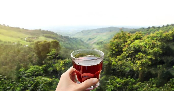 hand with cup of coffee in beautiful landscape of the Cocora Valley, Colombia. Coffee landscapes
