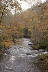 River flowing through autumn woods