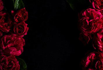 Moody flowers. Floral frame. red roses on a black background. Blur and selective focus. Low key photo. Flat lay, copy space. Top view