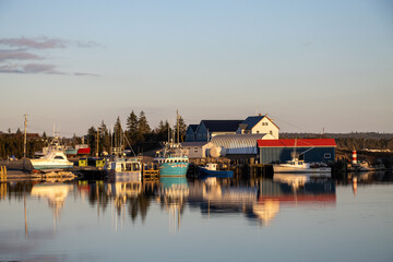 boats in the harbor