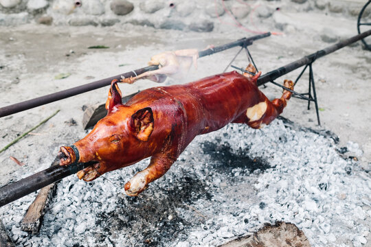 Closeup of the popular and delicious roasted pig known as "lechon baboy" skewered on a spit over burning charcoals on slow cooking or grilling outdoor. Selective focus.