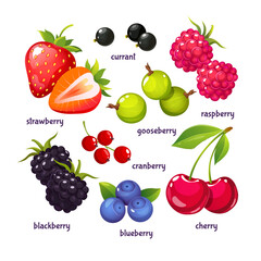 Colorful cartoon berries different types with their names isolated on white background.  © Elen_Art