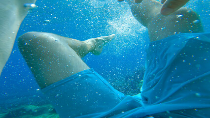 POV UNDERWATER: Frightened drowning swimmer struggles to swim back to sea surface. Bubbles in clear...