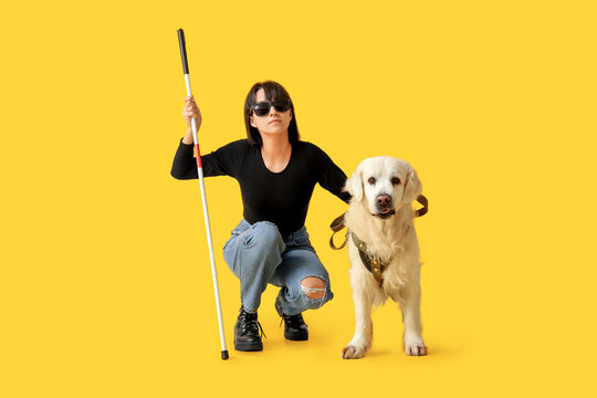 Blind woman with guide dog on yellow background